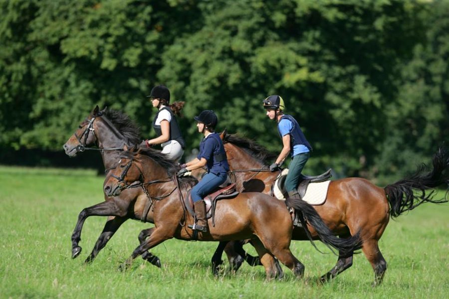 Horse riding перевод русский